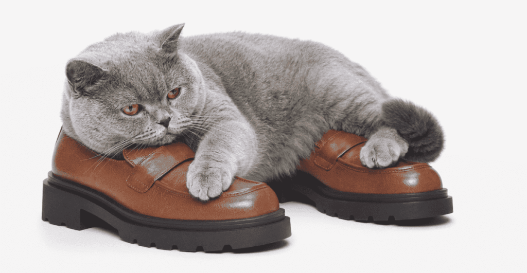 Campagna Bata Make Yourself Comfortable con un gatto e una scarpa della collezione autunno inverno 2026