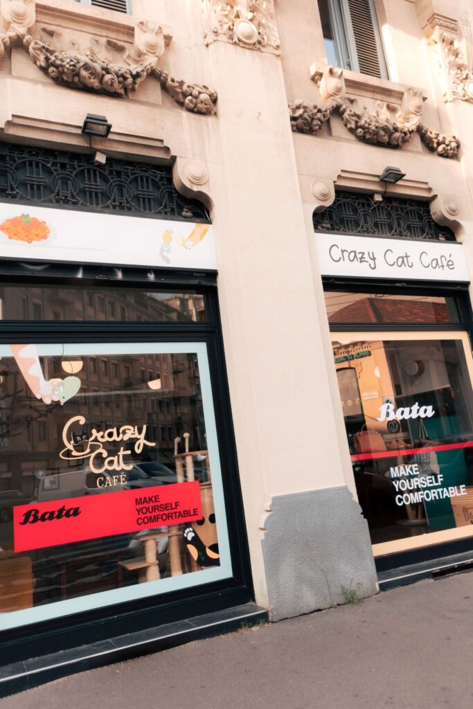 Vetrina del Crazy Cat Café di Milano per la presentazione della collezione Bata autunno inverno 2026