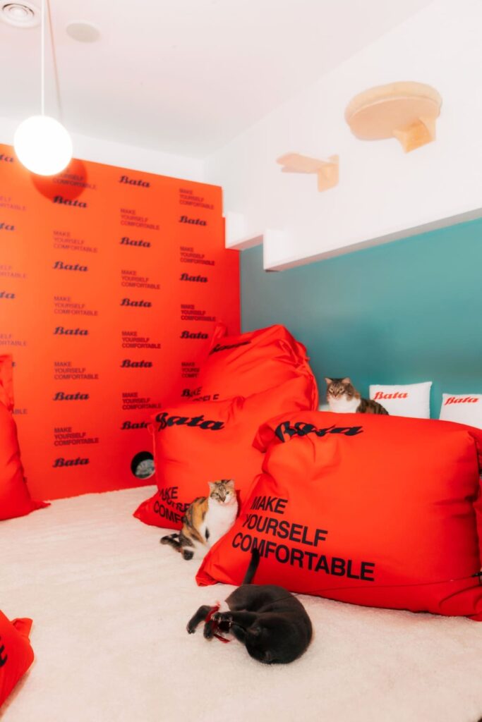 Allestimento Bata Make Yourself Comfortable al Crazy Cat Café di Milano