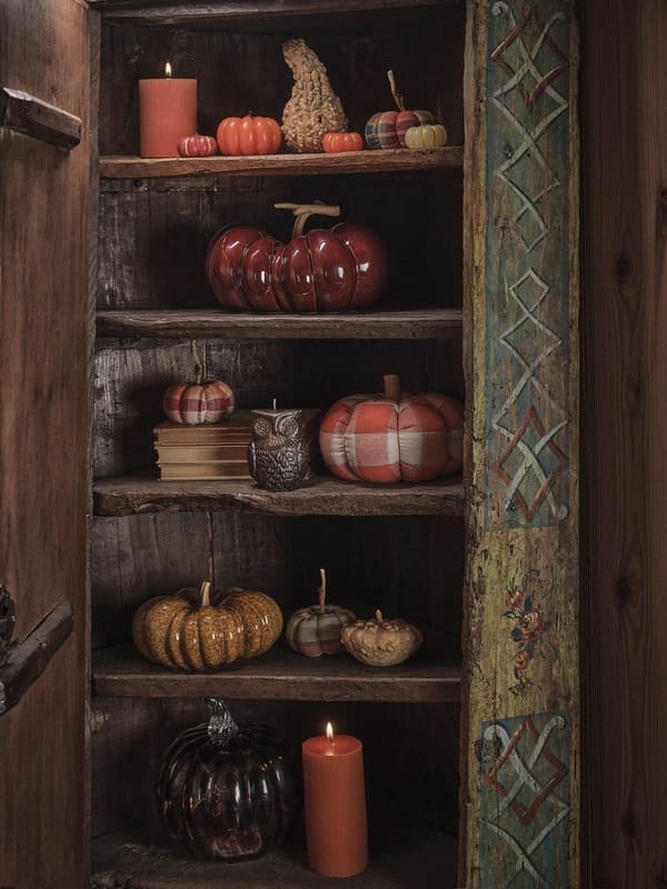Complementi d'arredo decorativi della collezione Coincasa Abitare la natura su una libreria in legno