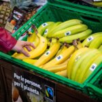 Banane con il marchio Fairtrade esposte in un supermercato