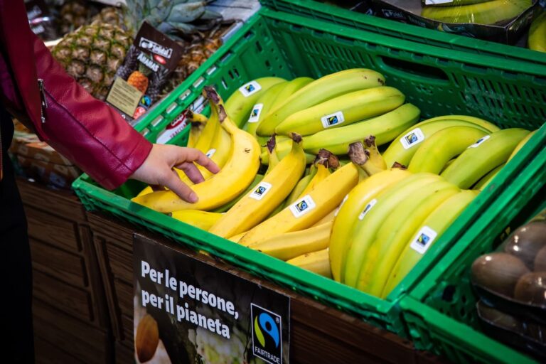 Banane con il marchio Fairtrade esposte in un supermercato